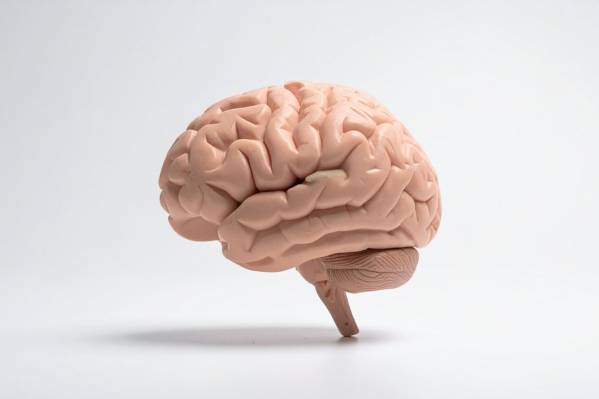 Neurology department at Amrut Hospital treating brain and nerve disorders